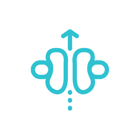 Synthèse d’ATP