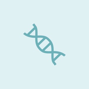Augmentation de l'ATP cellulaire